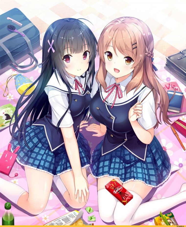 Аниме две девочки