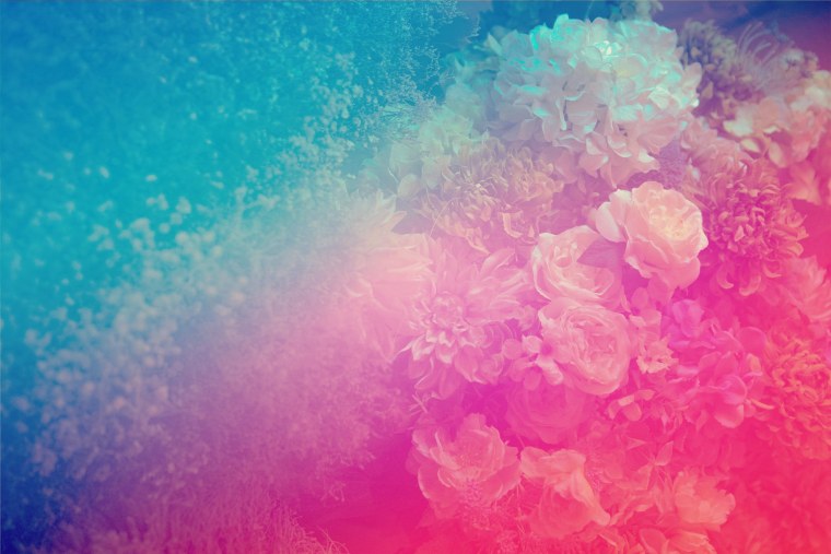 Синие цветы