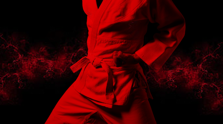 Самбо картинки на рабочий стол