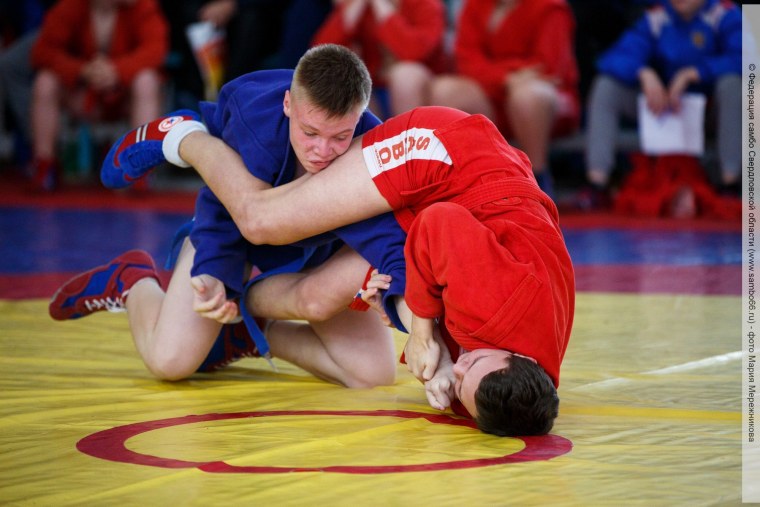 Самбо борьба