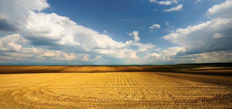 Пейзаж Горизонт