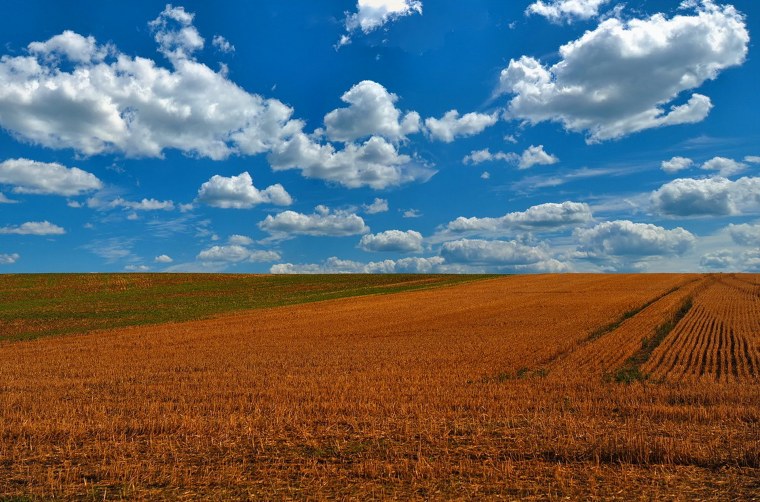 Линия горизонта в поле