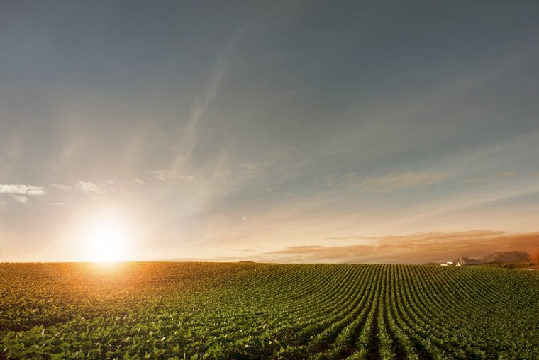 Северо-Германская низменность