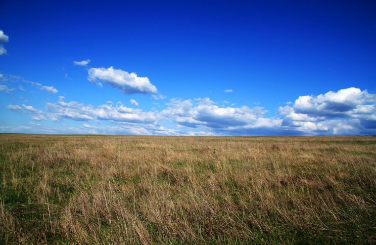 Ровное поле