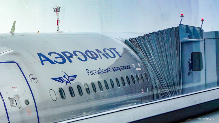 Алиса стюардесса Аэрофлот