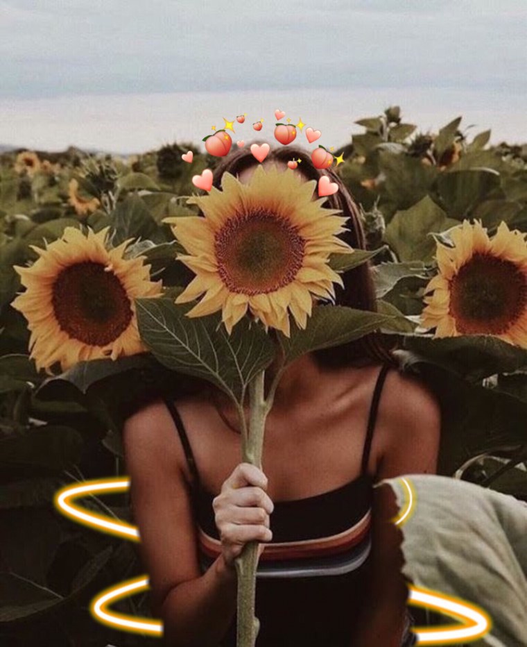 Подсолнух в руке