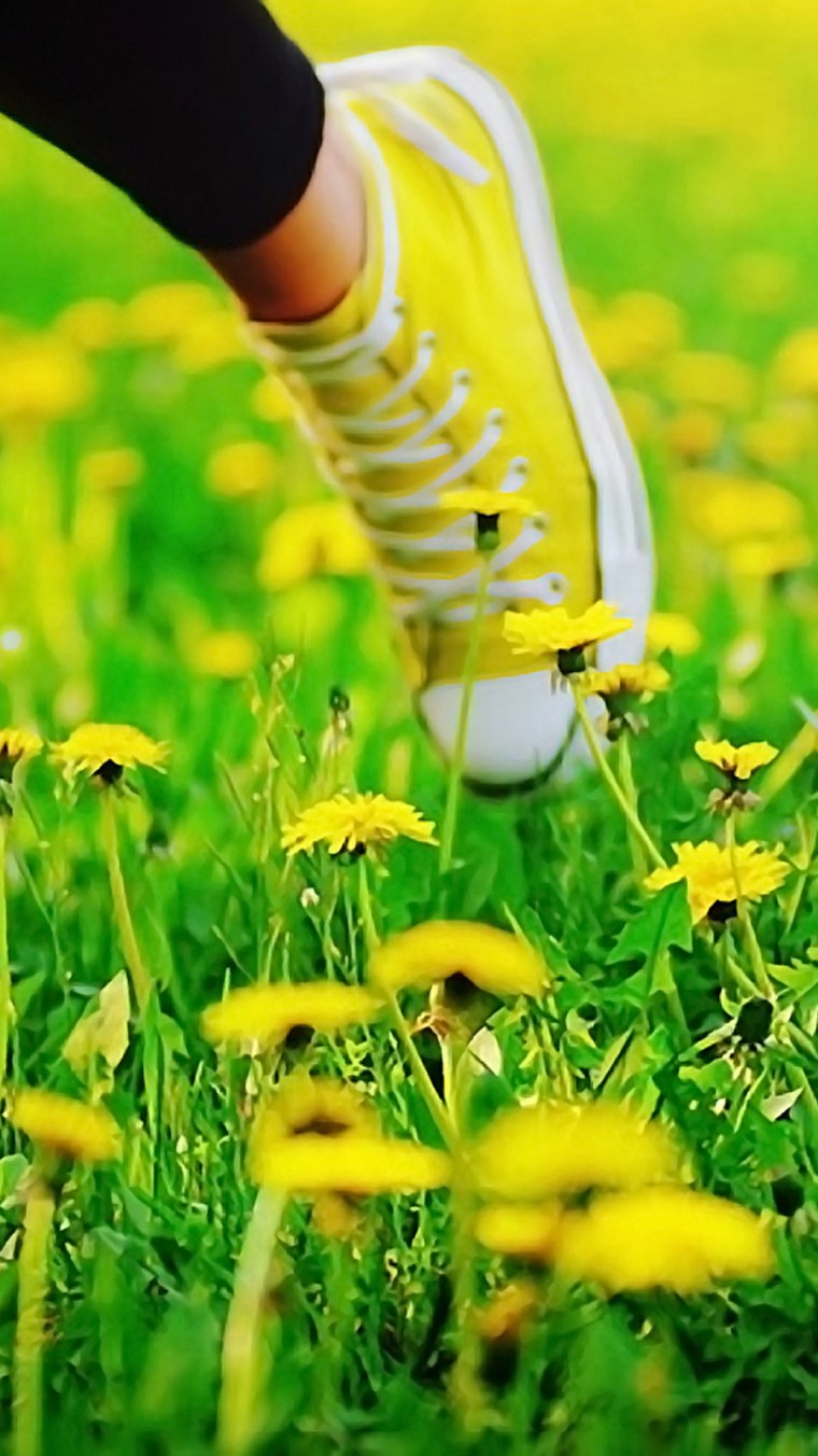 Сергеева Вероника Борисовна