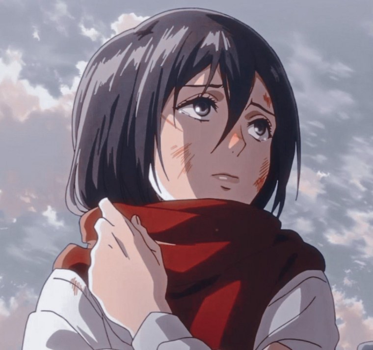 Микаса Аккерман