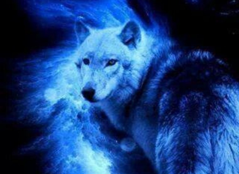 Волк на синем фоне