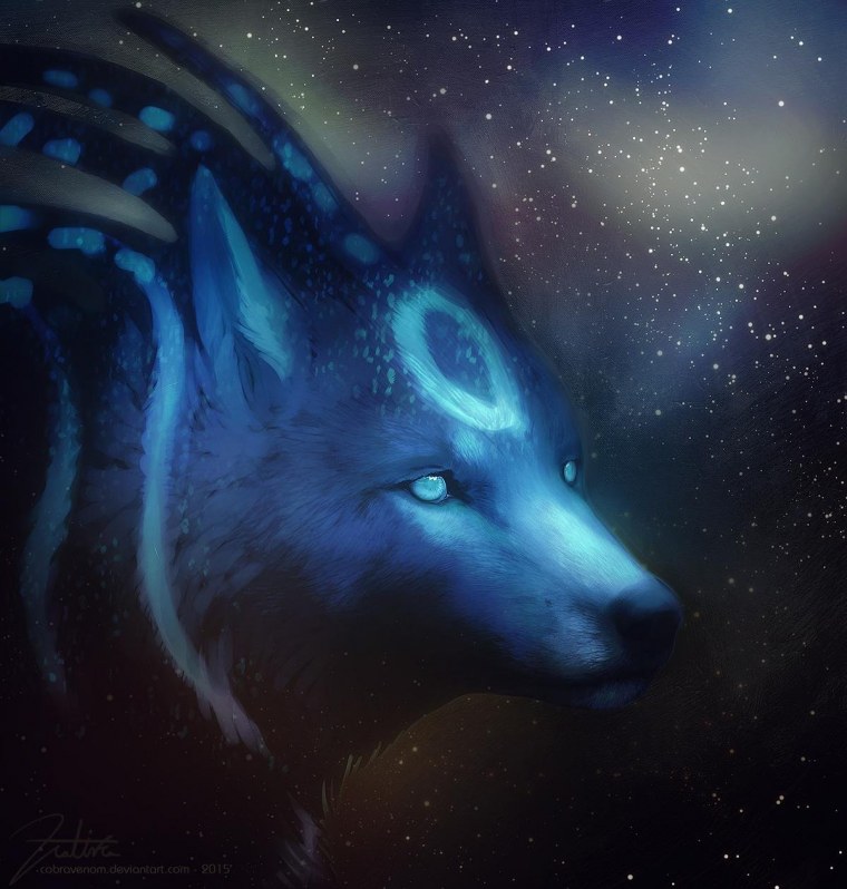 Чёрный канадский волкособ