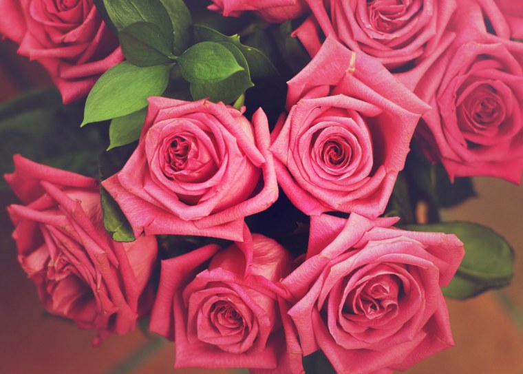 Ярко розовые розы