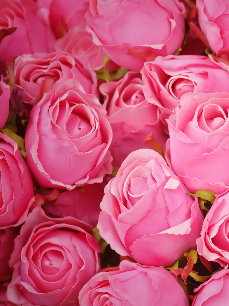 Роза Пинк хит