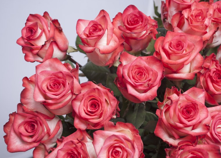 Розы флорибунда букет