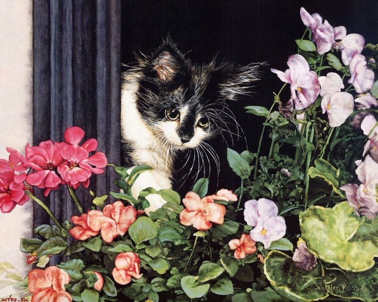 Рыжий кот алмазная мозаика кот