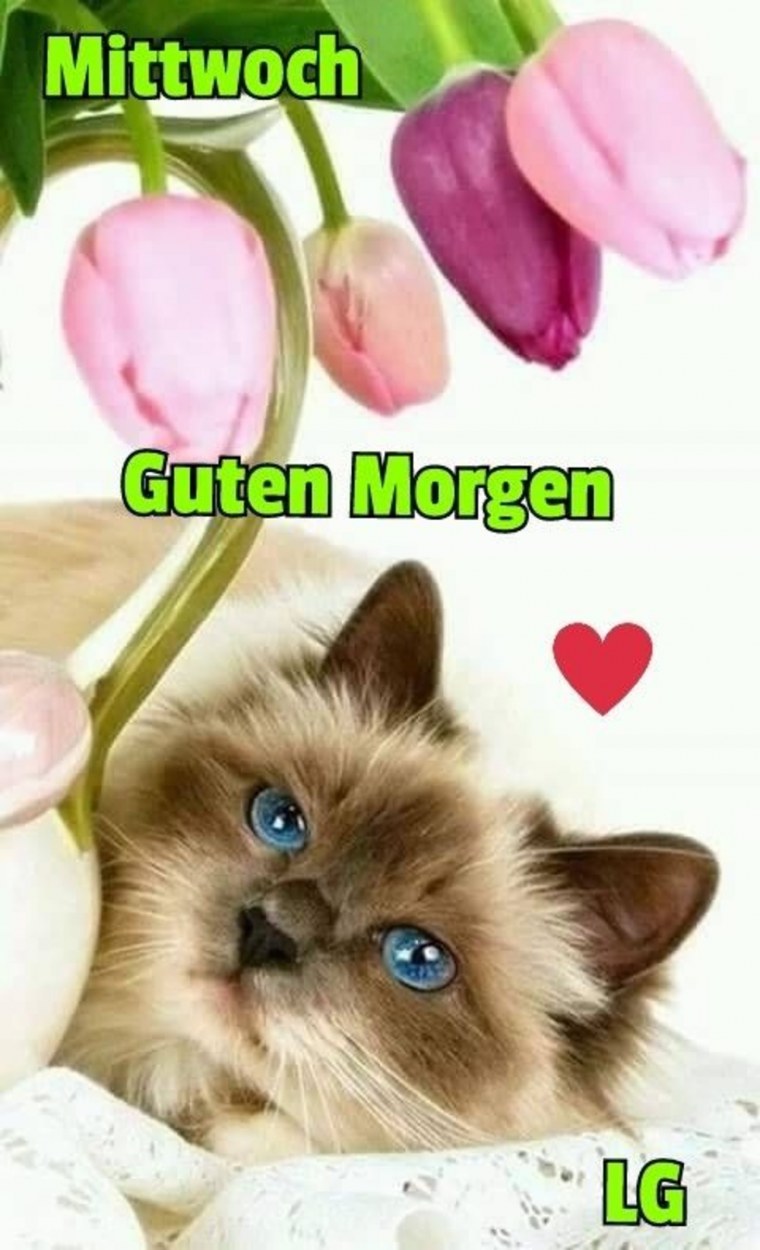 Картинки на телефон на заставку