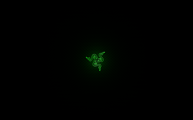Razer logo 4k