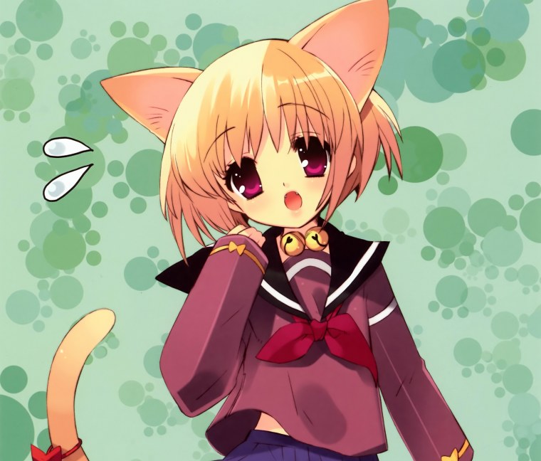 Раскраска аниме котики