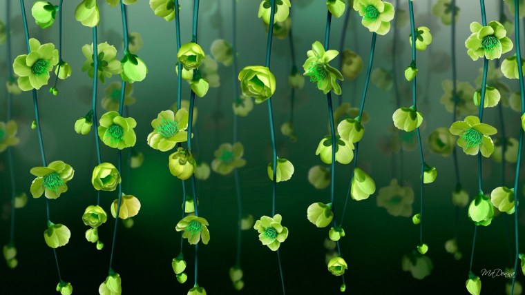 Папоротник на темном фоне