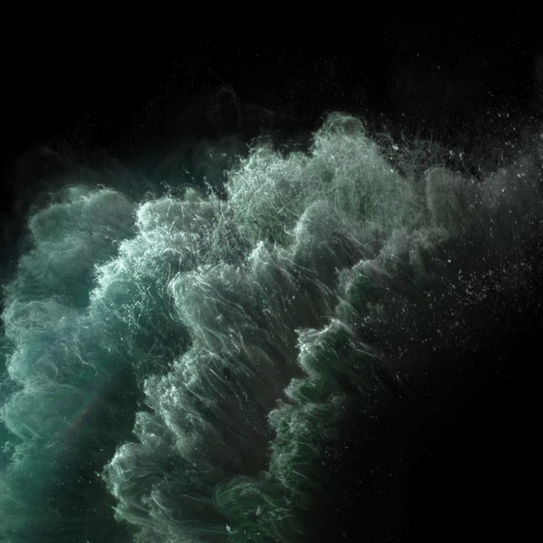 Темные листья