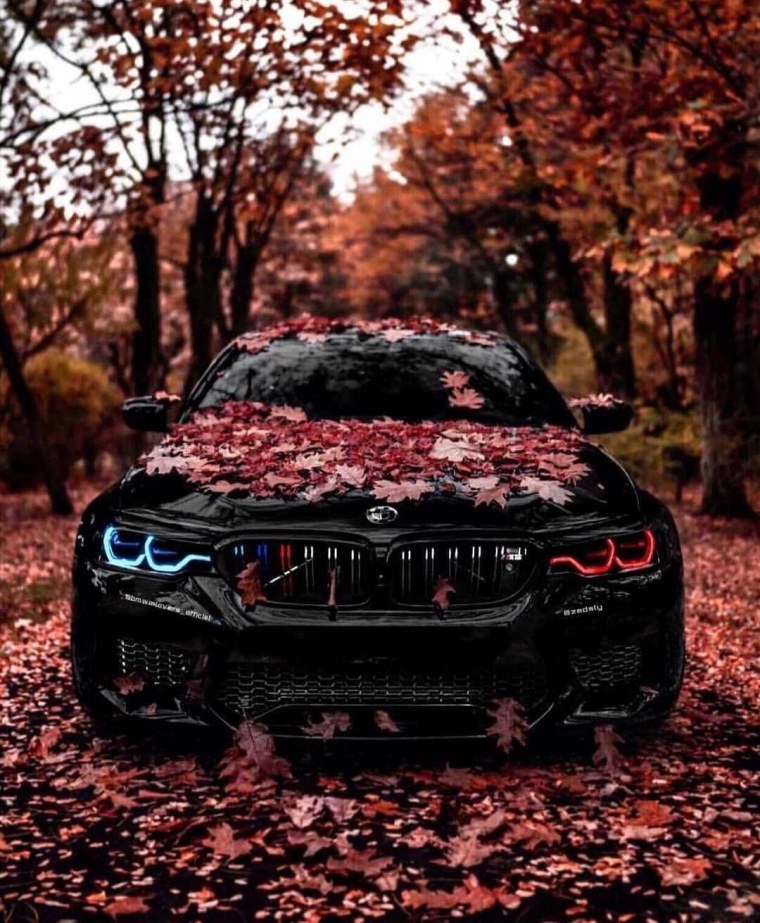 BMW m4 Fenix