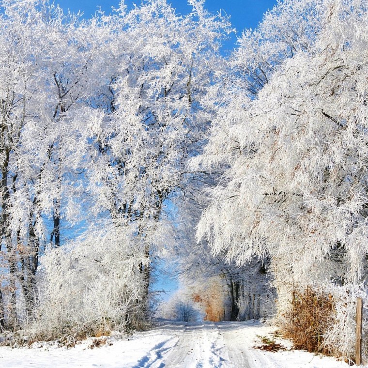Крещенский пейзаж