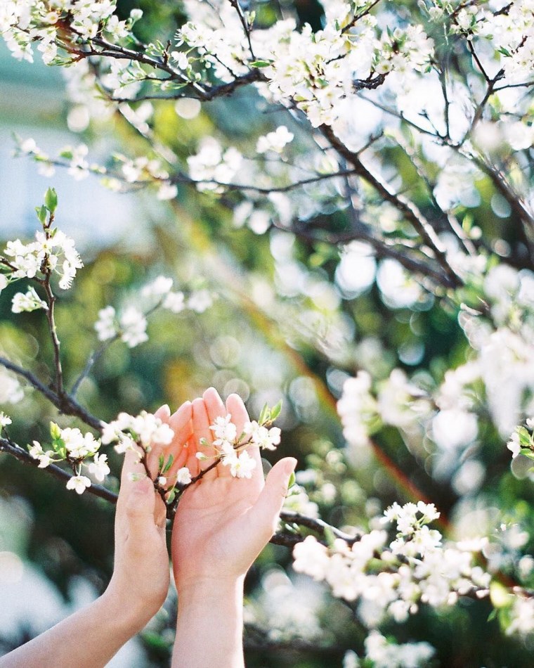 Женщина в подсолнухах