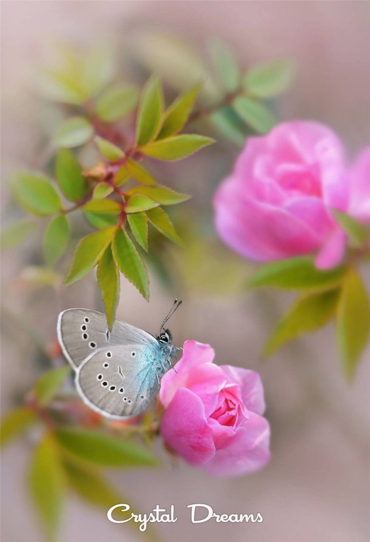 Уварова Ярослава Васильевна