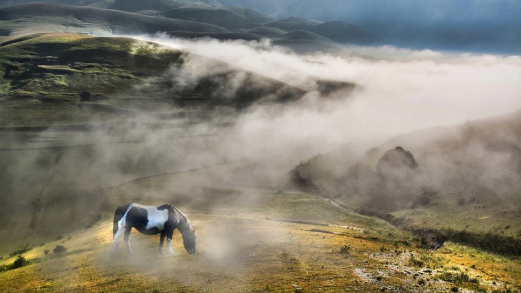 Карпаты Украина холмы туман