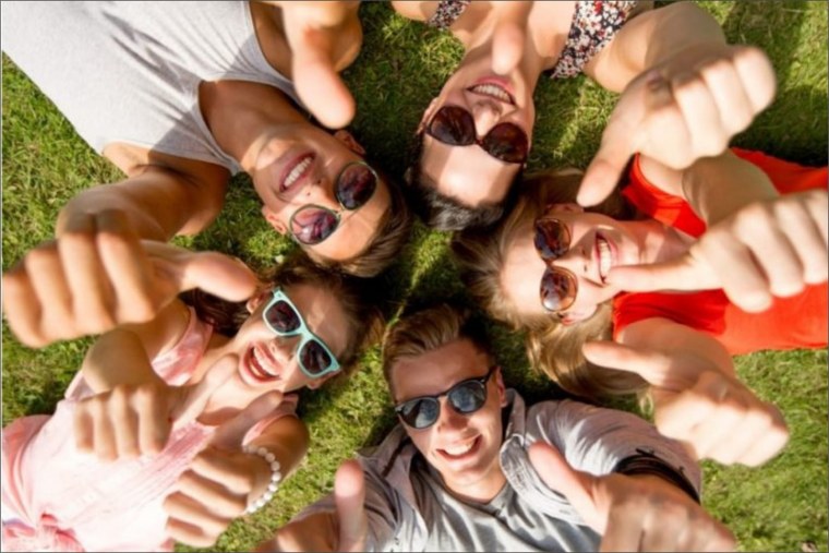 Друзья единомышленники