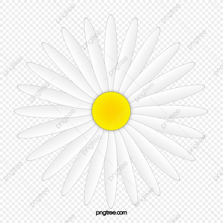 Трафарет цветочка с пятью лепестками