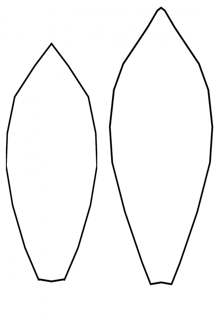 Эскиз лепестка ромашки