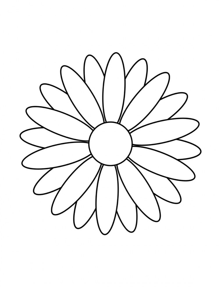 Цветы контур