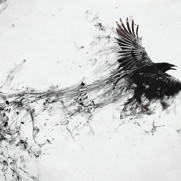 Тату с воронами эскиз