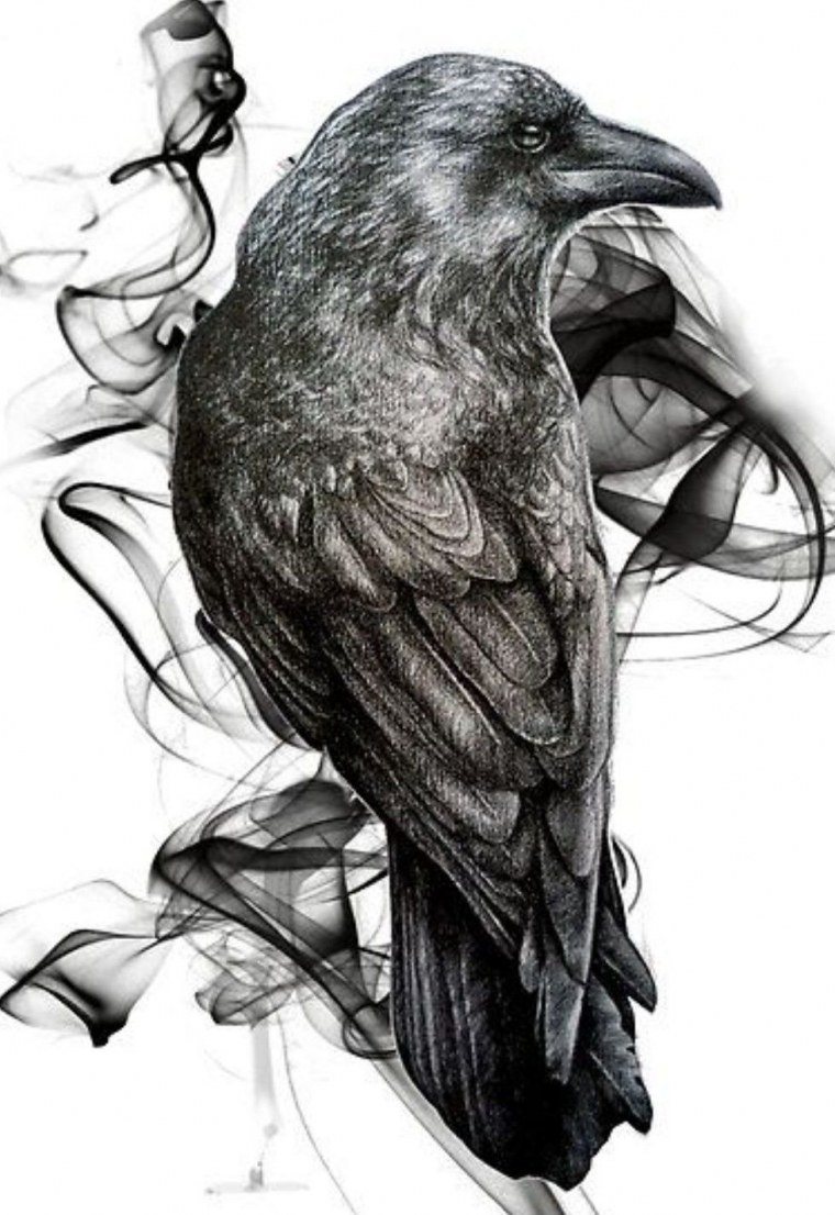 Ворон Эстетика