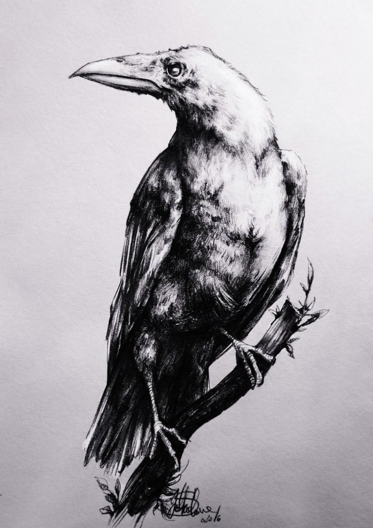 Черная птица арт