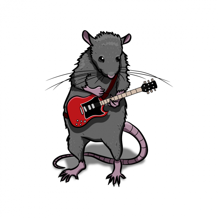 Хомячок с короной на голове