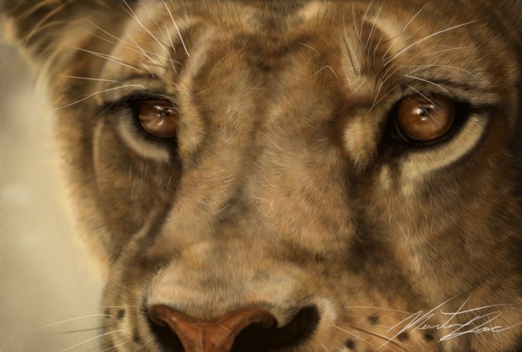 Глаза львицы