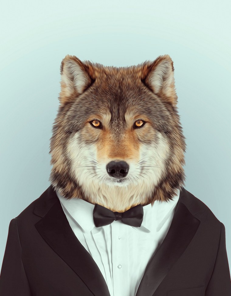 Макс Волков