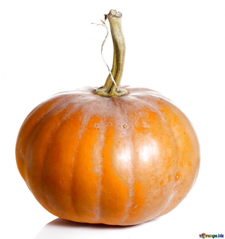 Тыква без фона