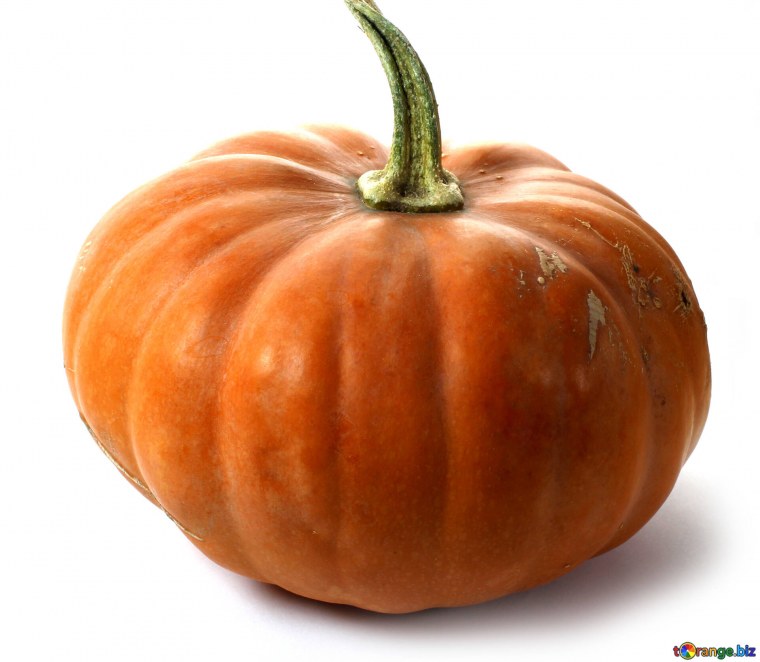 Белая тыква