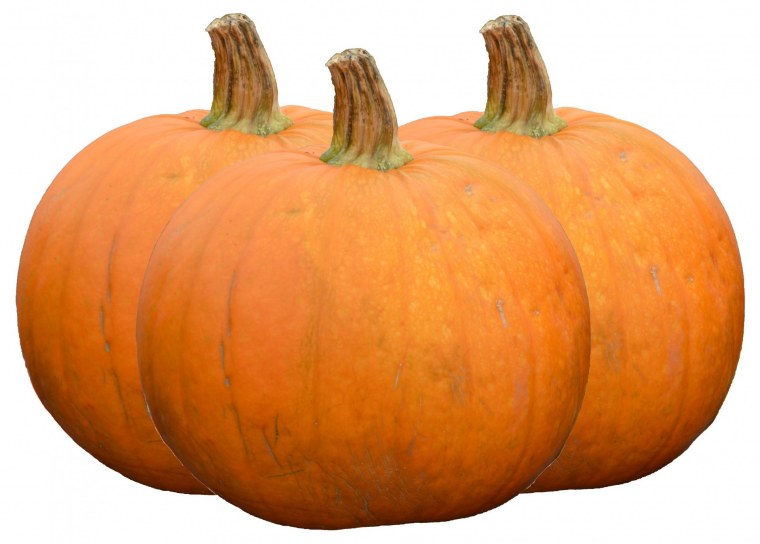 Тыква оранж саммер