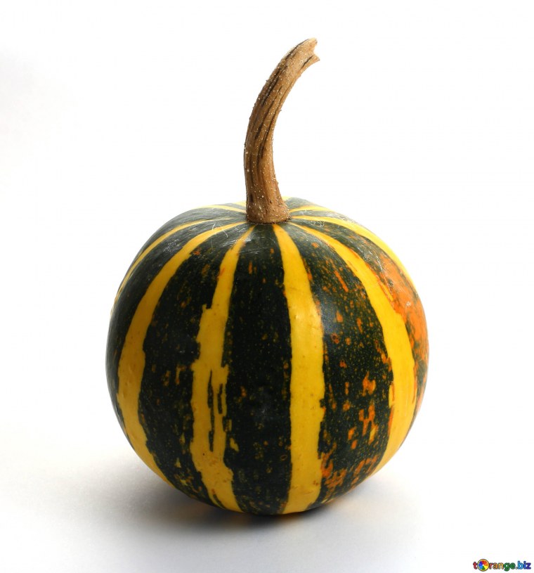 Тыква Кукурбита Пепо