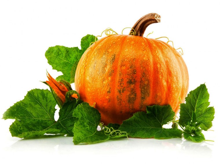 Тыква на прозрачном фоне