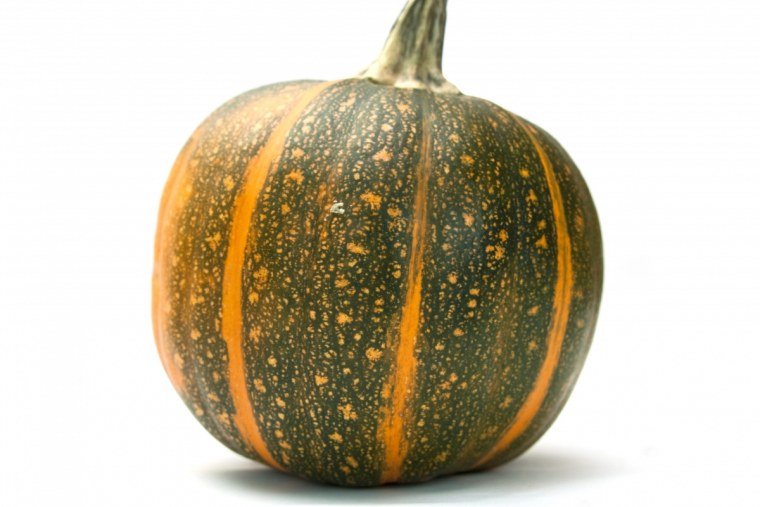 Тыква (Cucurbita Pepo)