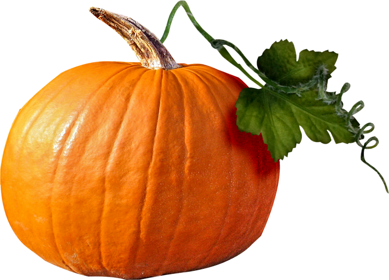Тыква без фона
