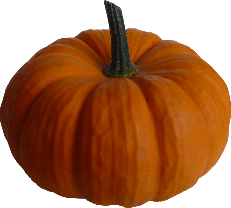 Овощ похожий на тыкву