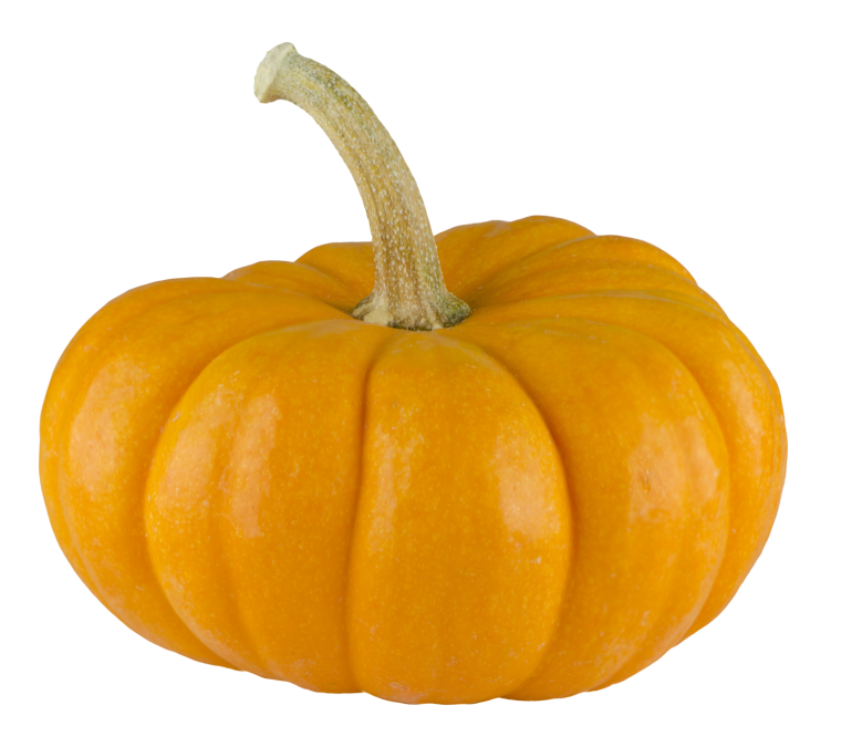 Тыква на белом фоне