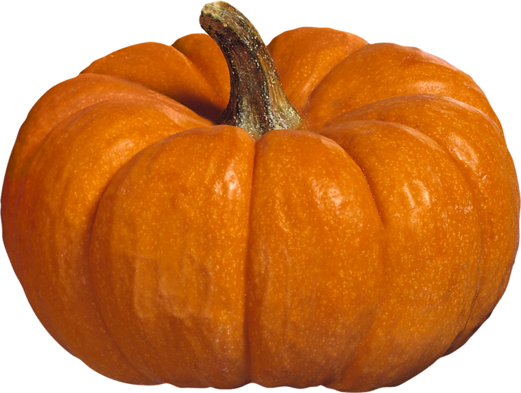 Тыква Cucurbita maxima