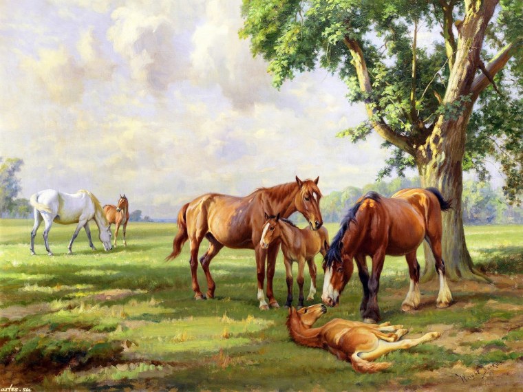 Большая красивая картина для 8 лет