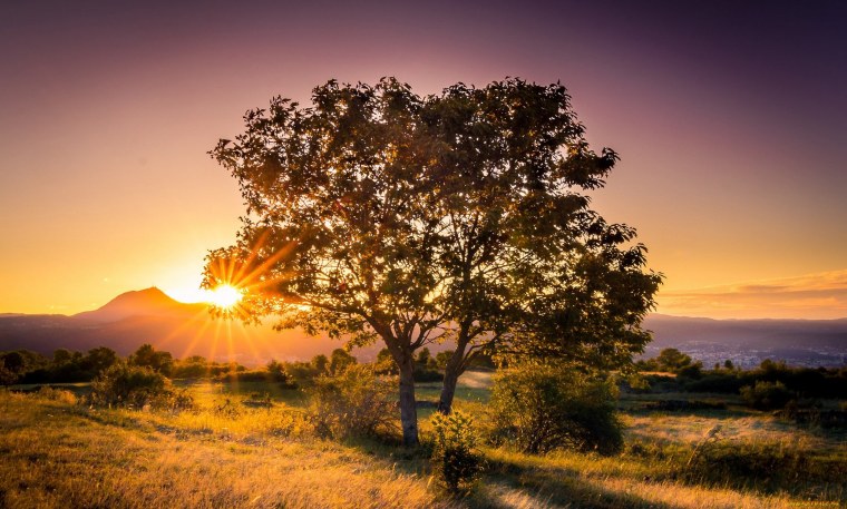 Рассветы и туманы